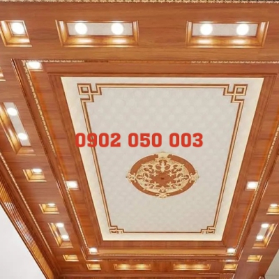 THI CÔNG TRẦN NANO TIỀN GIANG