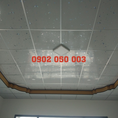 THI CÔNG TRẦN LA PHÔNG TẠI CÁI BÈ