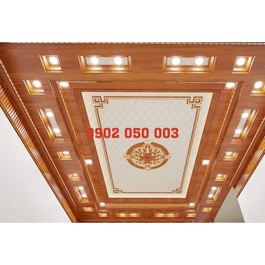 THI CÔNG TRẦN NANO TIỀN GIANG